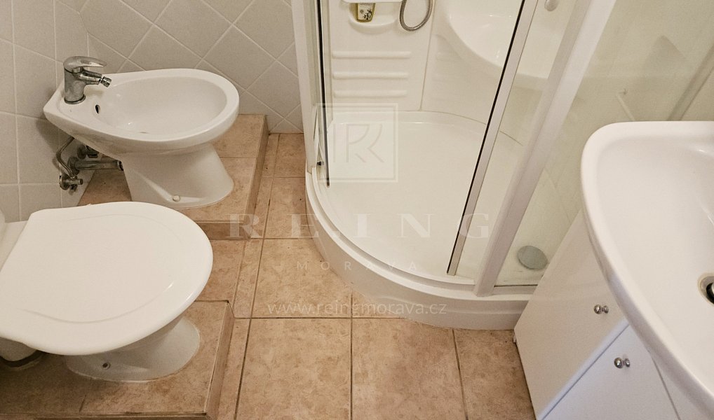 Prodej bytu 2+kk 48 m², Brno – náhled fotky 15