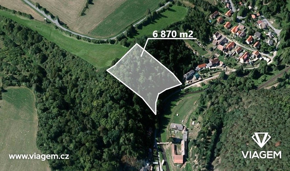 Prodej lesa 1 312 m², Pavlíkov – fotka 1 z 5