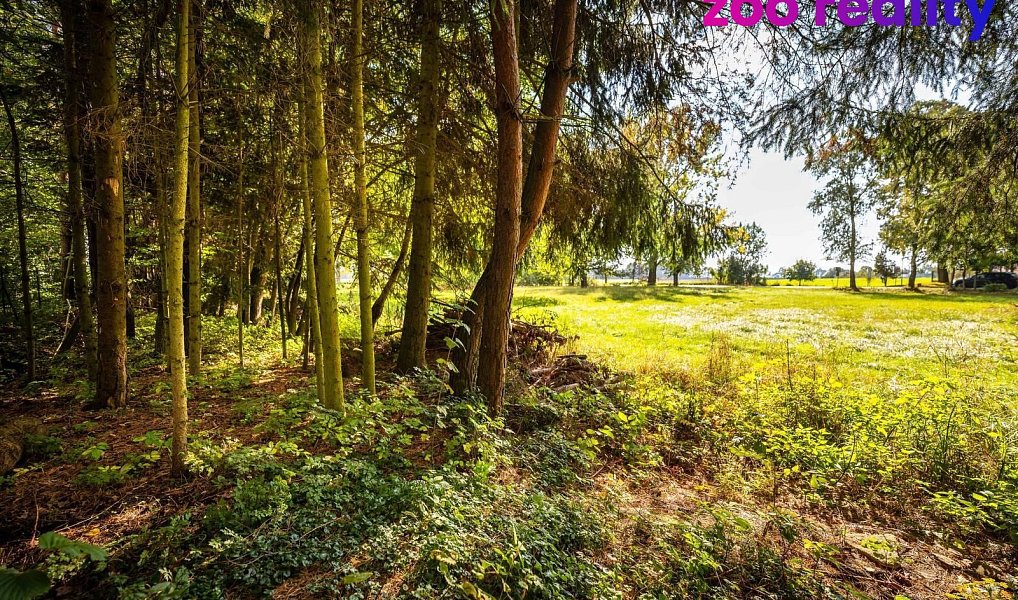 Prodej domu 234 m² s pozemkem 2 251 m², Sviny – náhled fotky 7