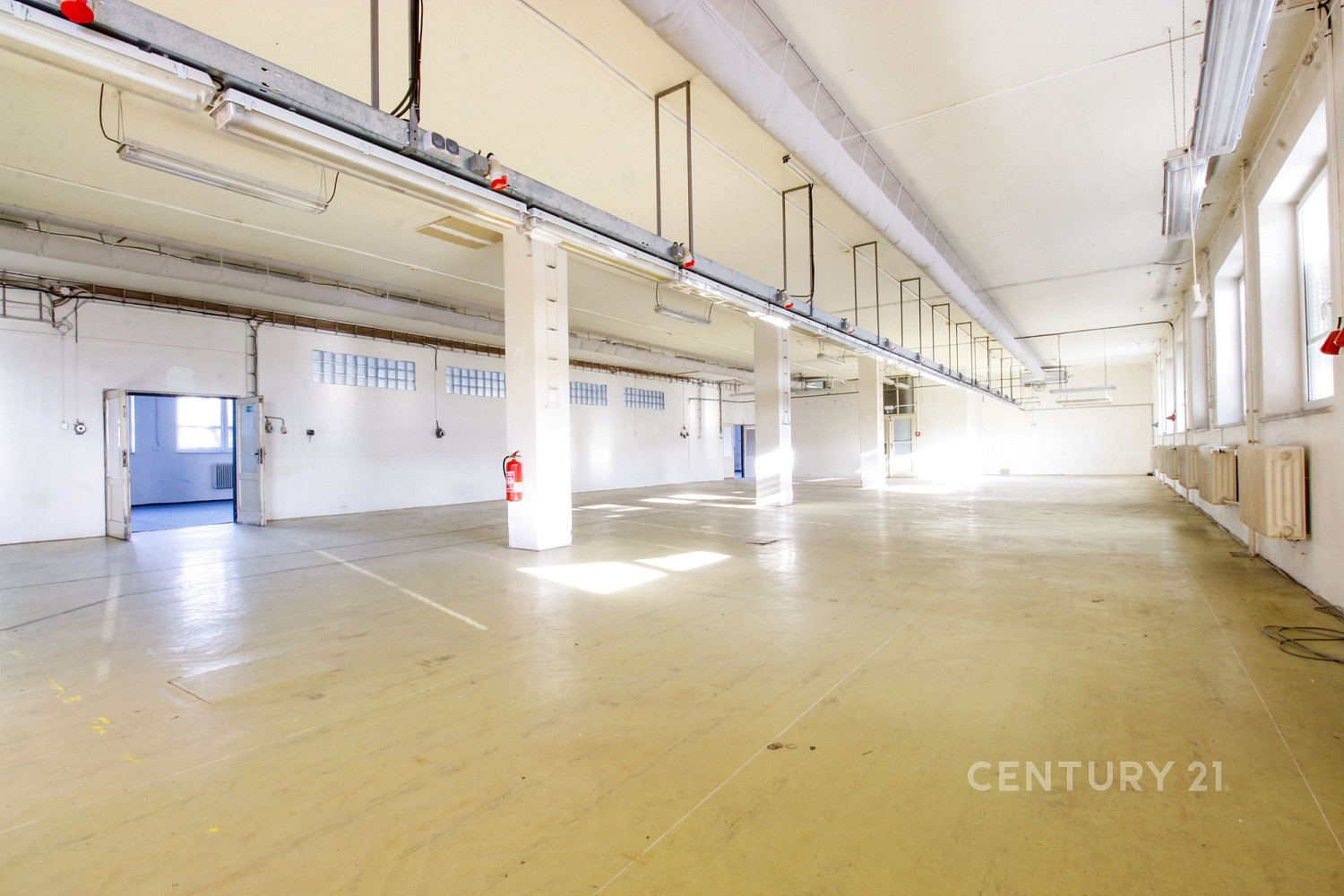 Pronájem komerčního objektu (jiného typu) 620 m² – fotografie 2