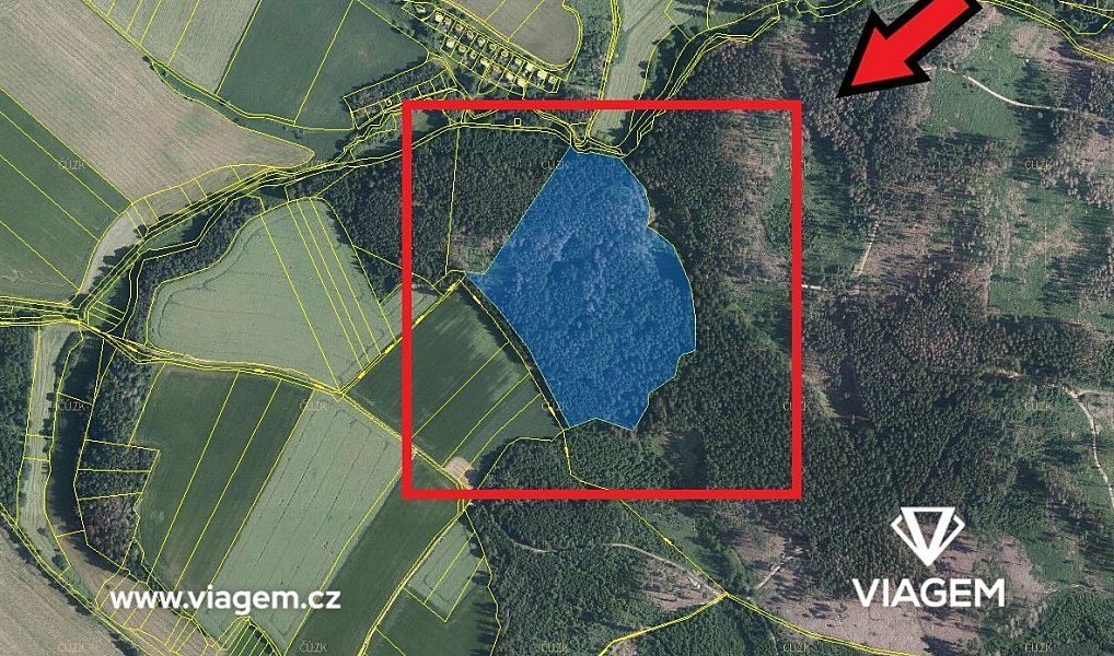 Prodej lesa 3 762 m², Katov – náhled fotky 2