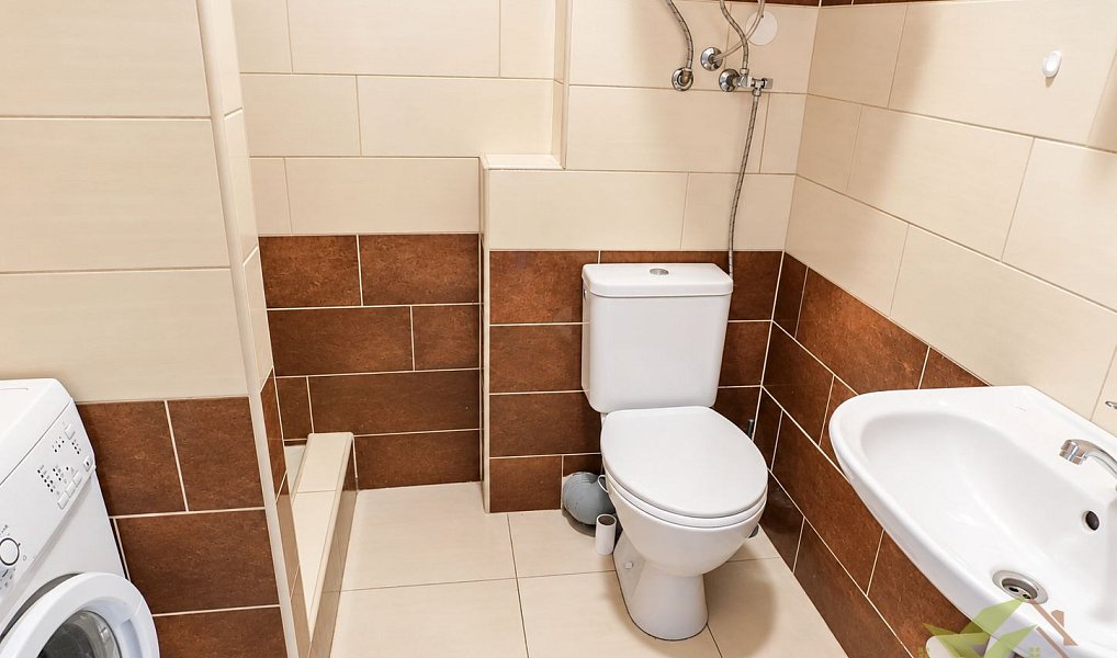 Pronájem bytu 1+kk 30 m², Spálené Poříčí – náhled fotky 3