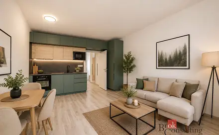 Pronájem bytu 1+kk 38 m², Železná, Plzeň - Jižní Předměstí