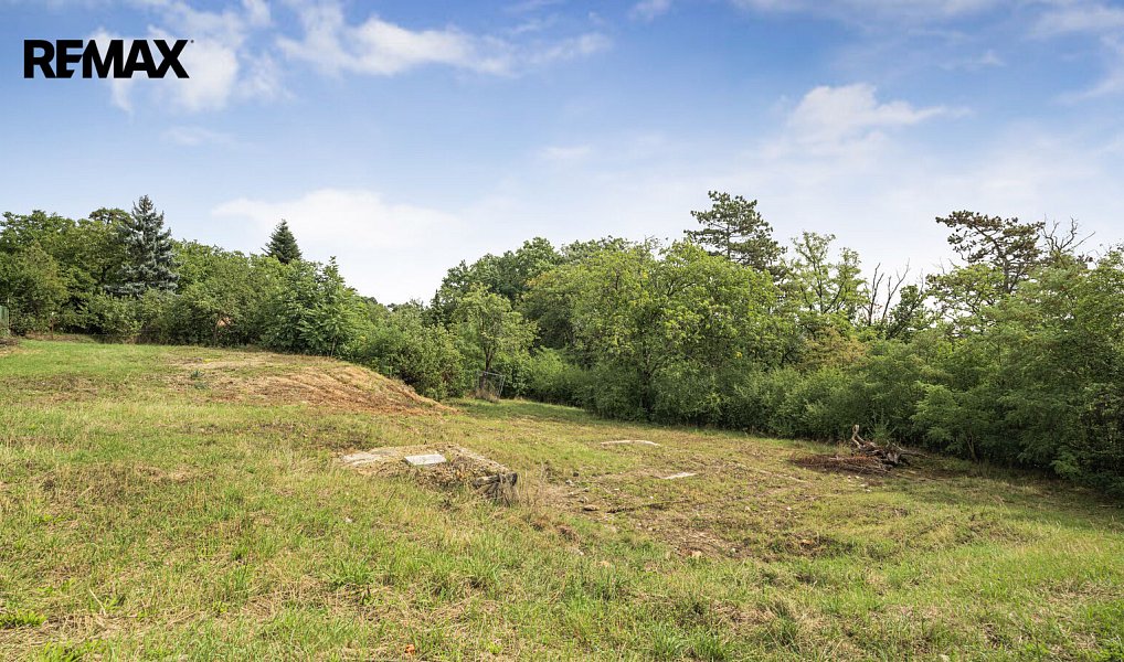 Prodej stavebního pozemku 3 223 m², Husinec – náhled fotky 3