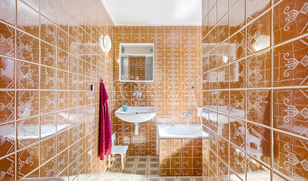 Prodej domu 260 m² s pozemkem 2 811 m², Velké Losiny – náhled fotky 40