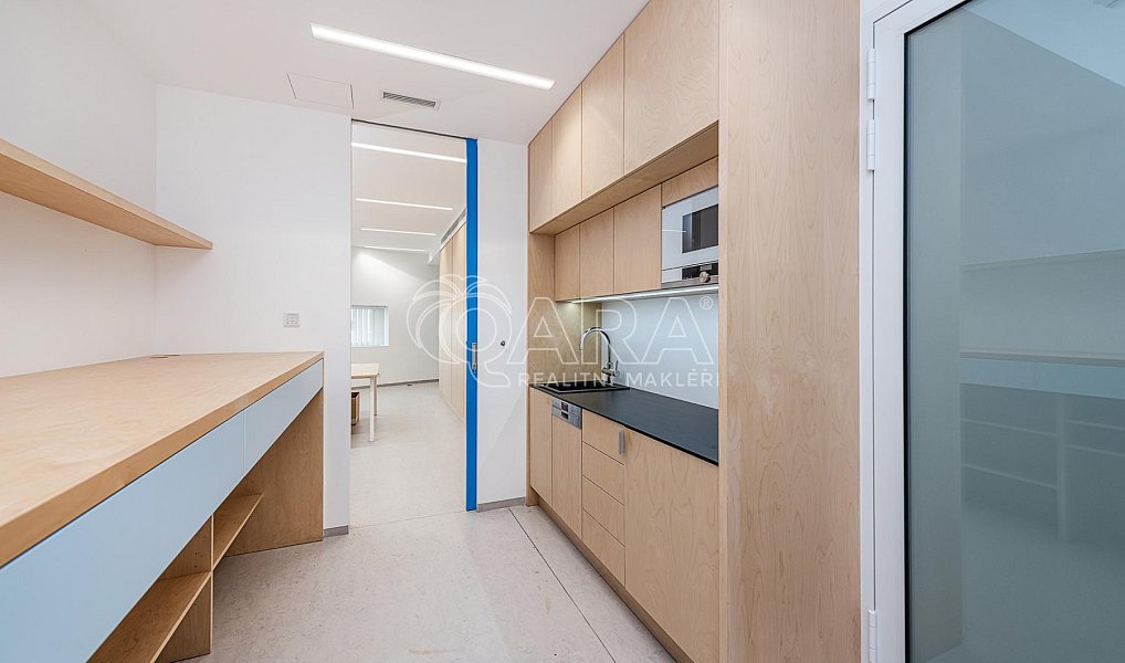 Pronájem kanceláře 240 m², Praha – náhled fotky 14
