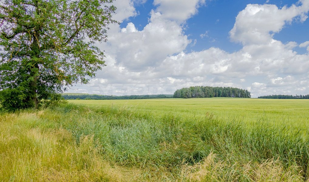 Prodej stavebního pozemku 2 128 m², Olbramov – náhled fotky 9