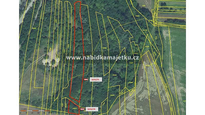 Prodej pozemku 2 767 m², Brodek u Prostějova