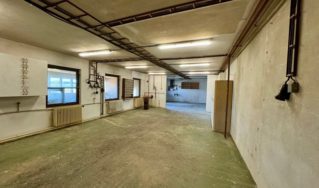 Prodej domu 370 m² s pozemkem 926 m², Řehenice – náhled fotky 11
