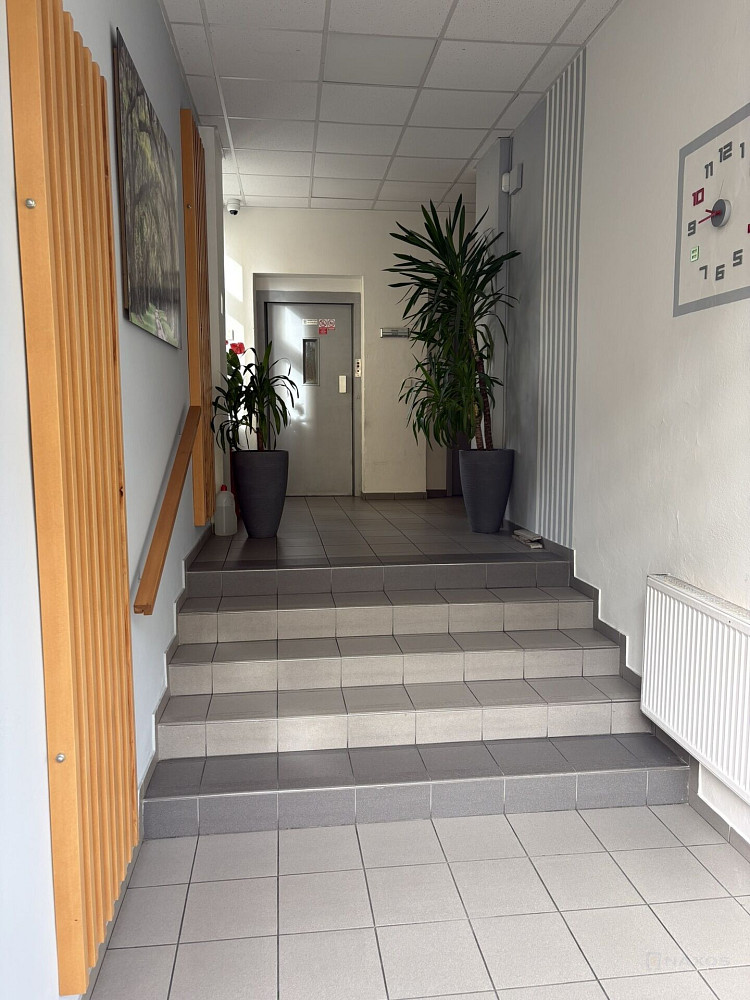 Pronájem kanceláře 159 m² – fotografie 4