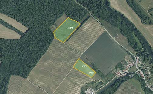 Prodej pole 82 048 m², Bulhary, okres Břeclav