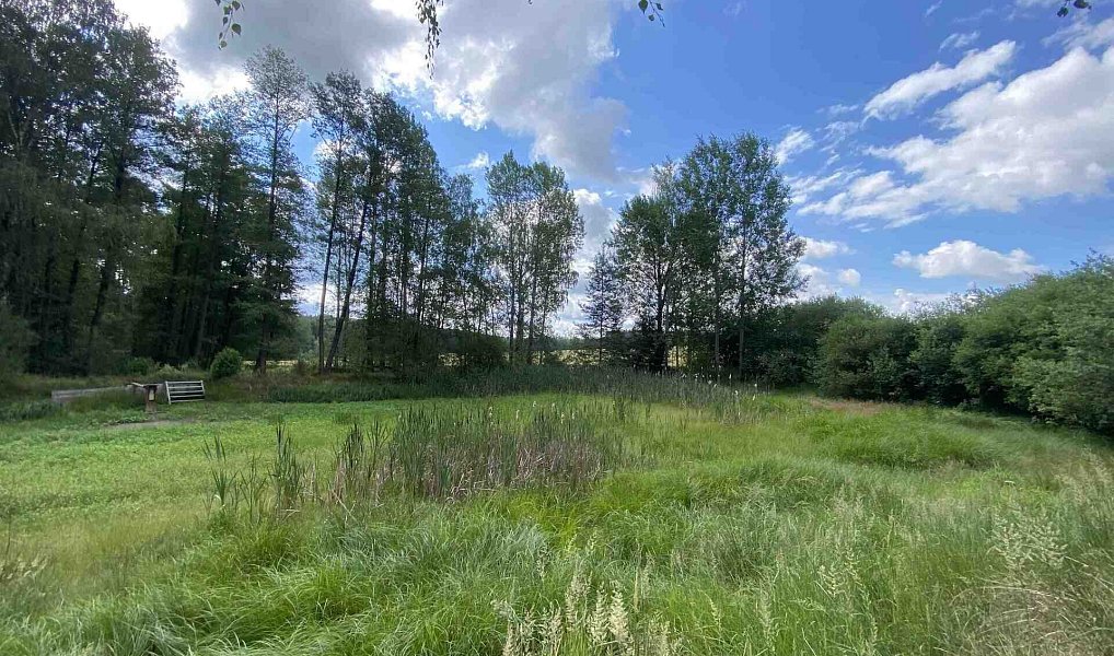 Prodej louky 10 951 m², Trhové Sviny – náhled fotky 7