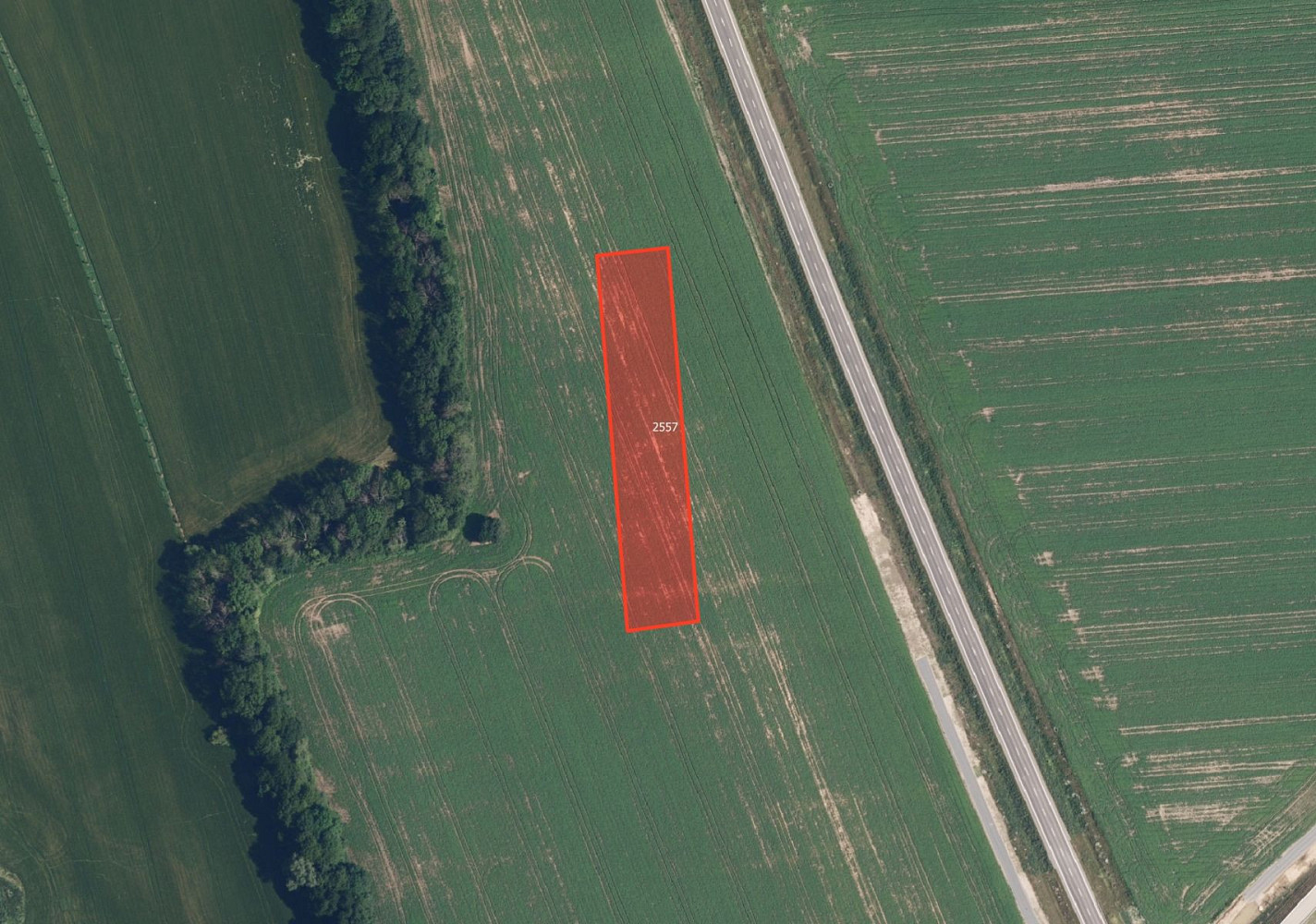 Prodej louky 15 860 m² – fotografie 3