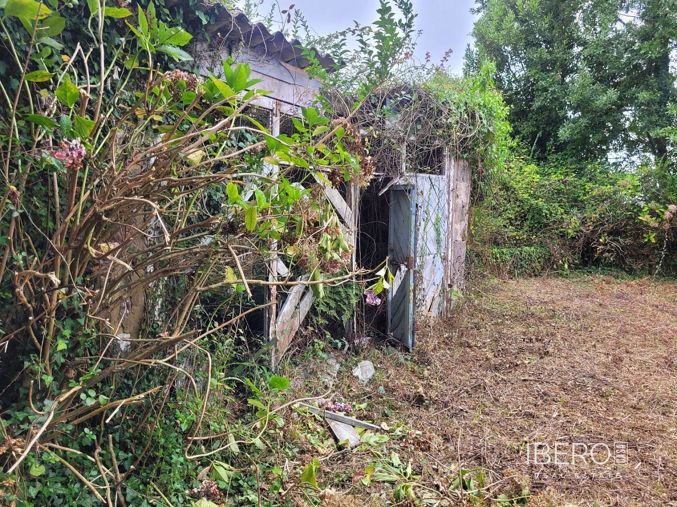 Prodej domu 831 m² s pozemkem 831 m² — photo 4