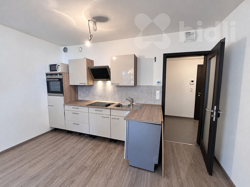 Pronájem bytu 2+kk 55 m² – fotografie 2