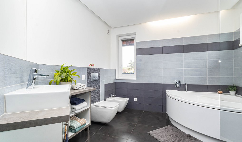 Prodej vily 318 m² s pozemkem 981 m², Stehelčeves – náhled fotky 10