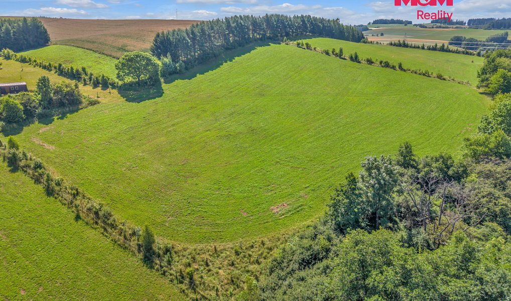 Prodej louky 17 267 m², Pecka – náhled fotky 5
