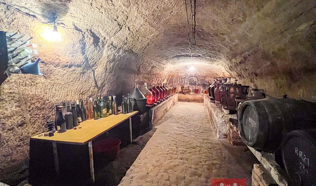 Prodej vinného sklepa s lisovnou, Znojmo, Znojmo – náhled fotky 7