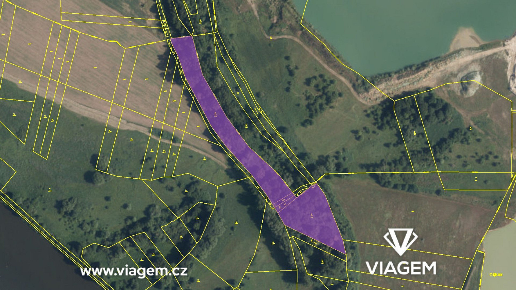 Prodej lesa 2 389 m² – fotografie 4