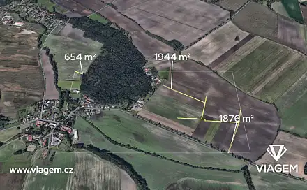 Prodej pole 257 m², Dašice, okres Pardubice