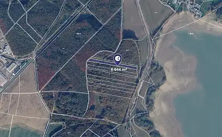 Prodej lesa 6 644 m², Česká Skalice, okres Náchod