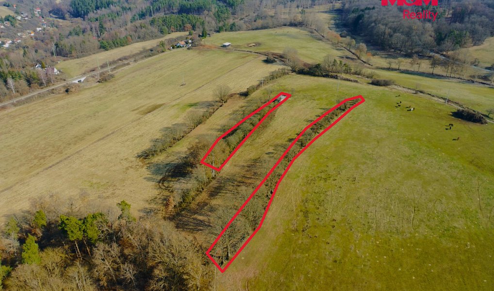 Prodej zahrady 15 633 m², Kladruby – náhled fotky 8
