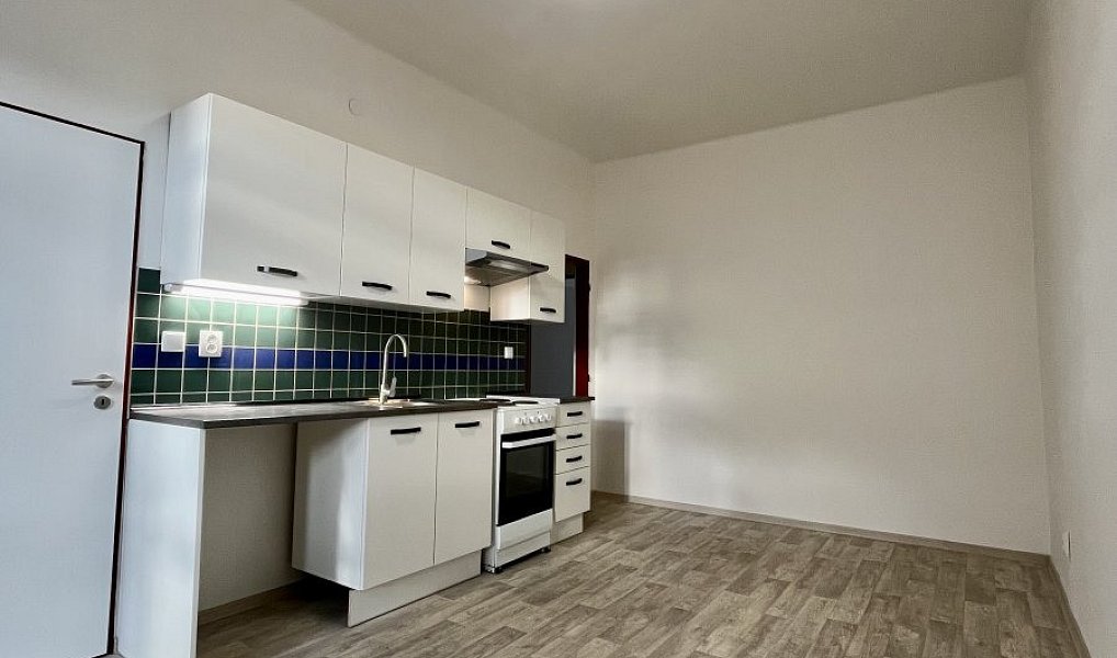 Pronájem bytu 1+1 50 m², Ostrava – náhled fotky 4