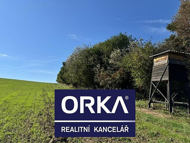Prodej louky 7 785 m² — photo 2
