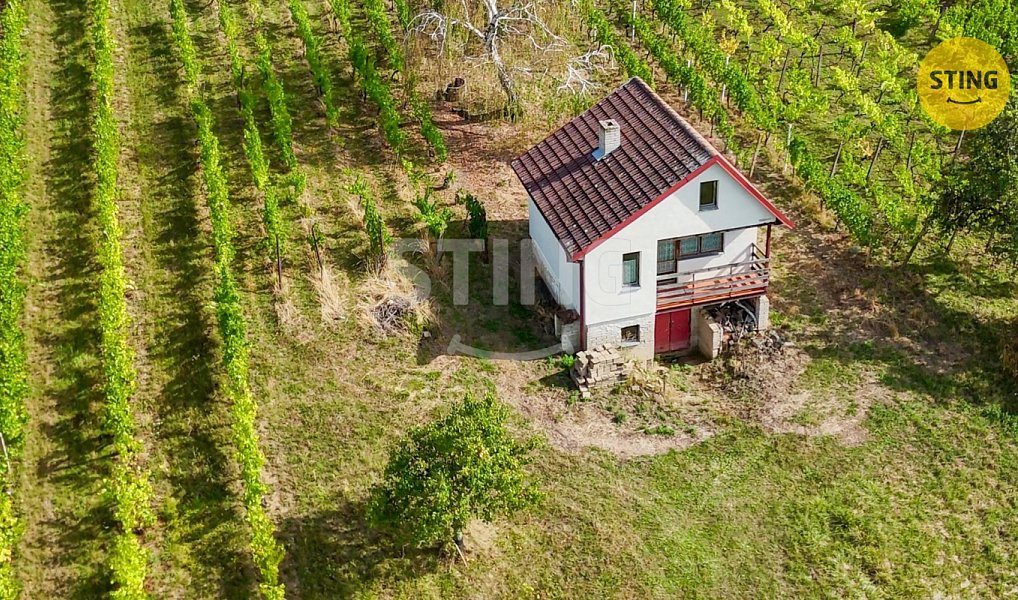 Prodej chaty/chalupy 42 m² s pozemkem 5 902 m², Strážnice – náhled fotky 7
