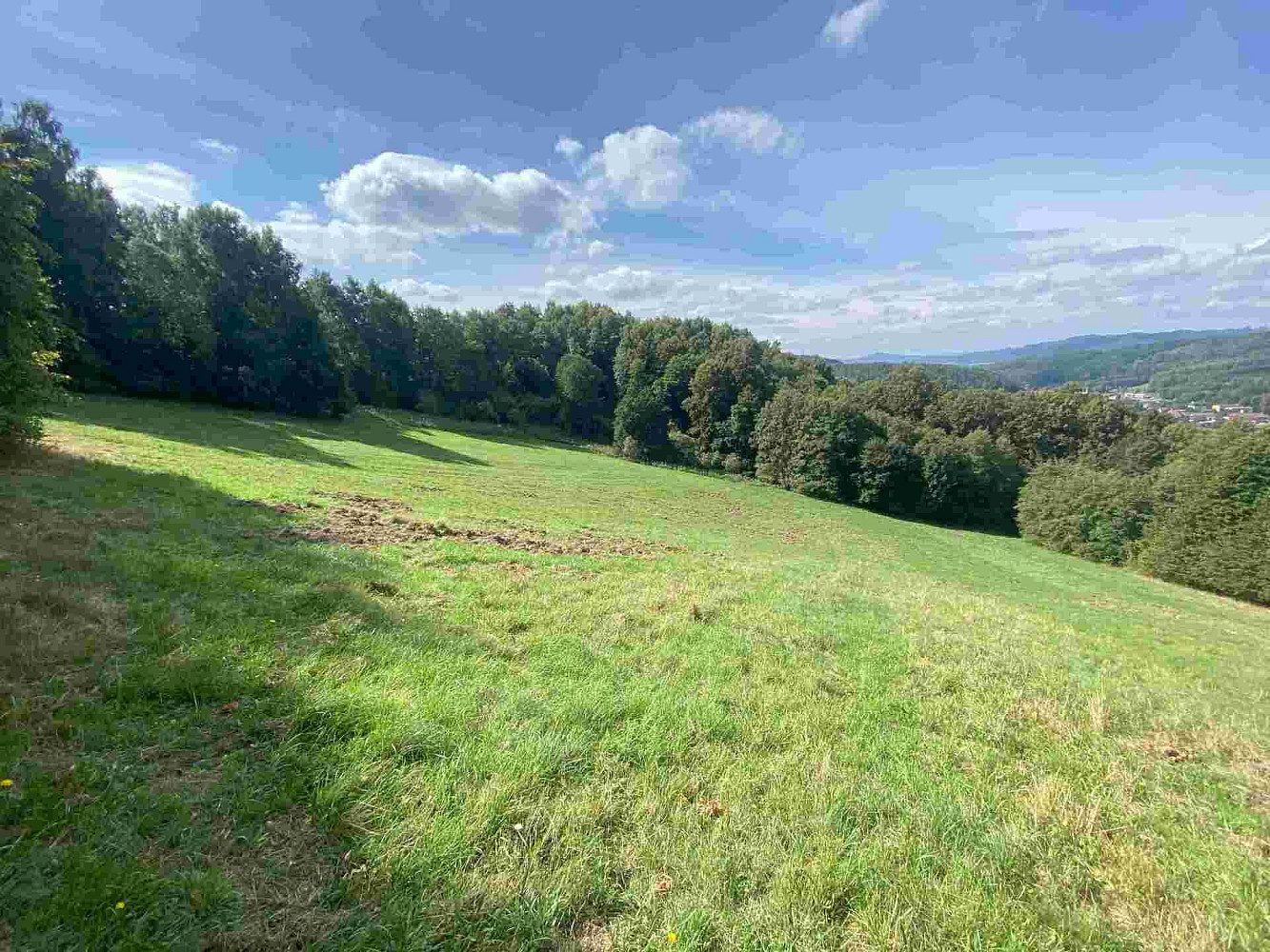 Prodej pozemku 10 593 m² – fotografie 3