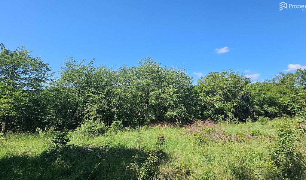 Prodej stavebního pozemku 1 845 m², Letovice – náhled fotky 4