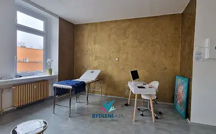 Pronájem komerčního objektu (jiného typu) 90 m², Plynárenská, Teplice