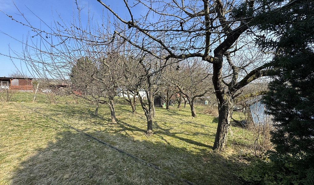 Prodej zahrady 511 m², Dyje – náhled fotky 9