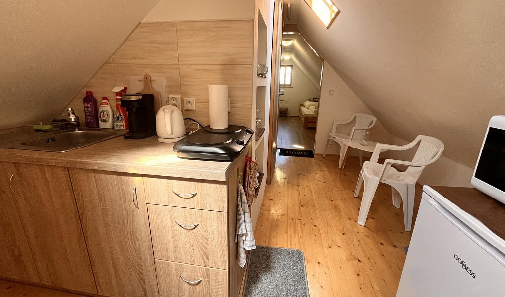 Prodej komerčního objektu (jiného typu) 190 m², Šluknov – náhled fotky 10