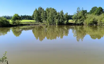 Prodej vodní plochy 6 048 m², Okrouhlá, okres Cheb