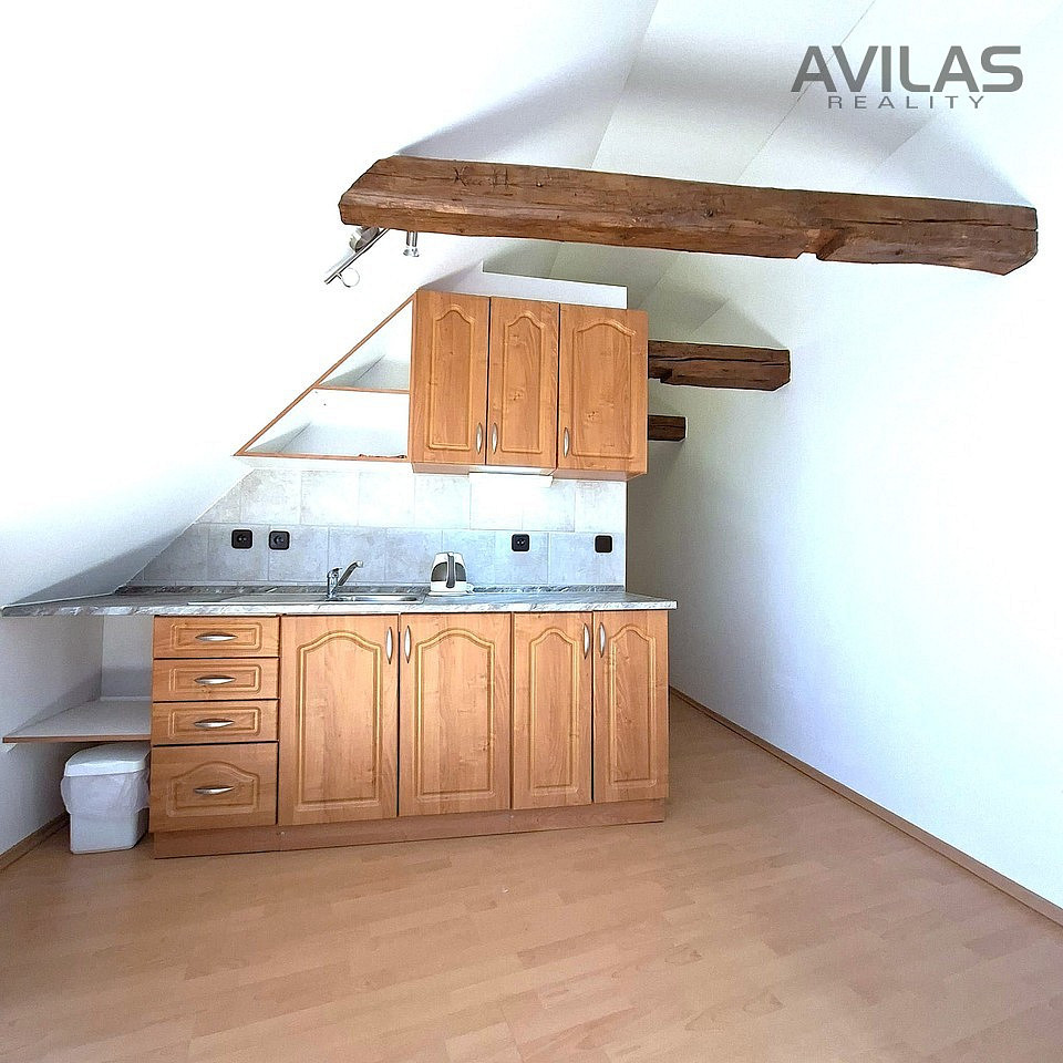 Pronájem bytu 1+kk 48 m²