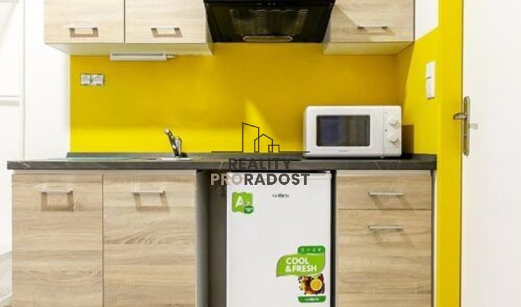 Pronájem bytu 2+1 33 m², Brno – náhled fotky 6
