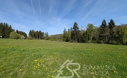 Prodej stavebního pozemku 8 869 m², Soběšice, okres Klatovy