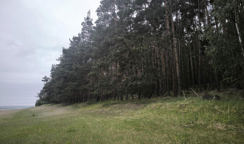 Prodej lesa, 21226 m², Praha-východ, Konětopy