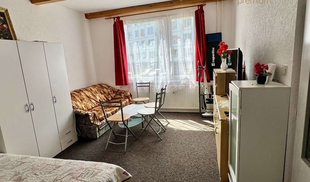 Pronájem bytu 1+1 37 m², Tachov – náhled fotky 2