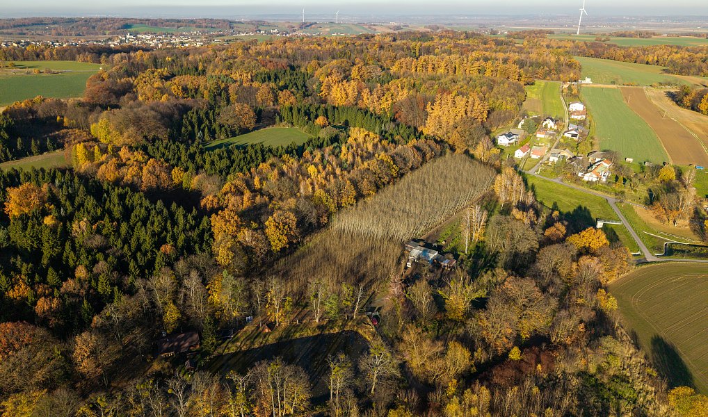 Pronájem komerčního pozemku 22 800 m², Markvartovice – fotka 1 z 16