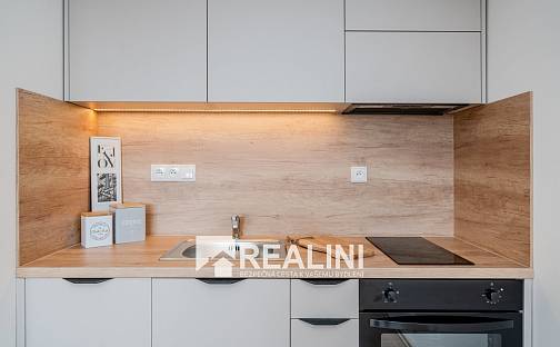 Pronájem bytu 1+kk 29 m², 30. dubna, Ostrava - Moravská Ostrava
