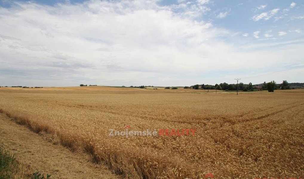 Prodej pole 24 000 m², Blanné – náhled fotky 5