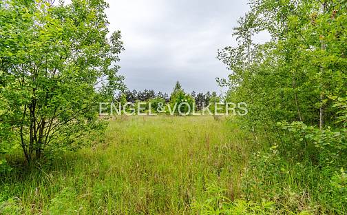 Pronájem komerčního pozemku 30 283 m², Chýnovská, Tábor