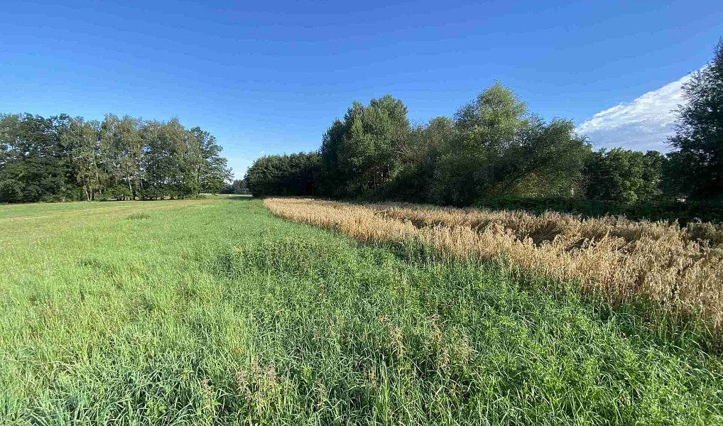 Prodej pozemku 1 447 m², Chlum u Třeboně – fotka 1 z 7