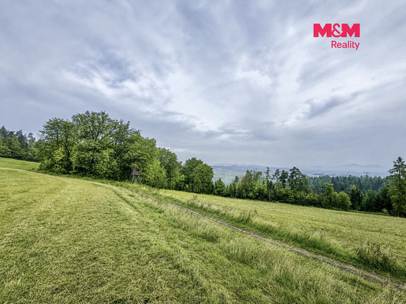 Prodej lesa 6 855 m² – fotografie 5
