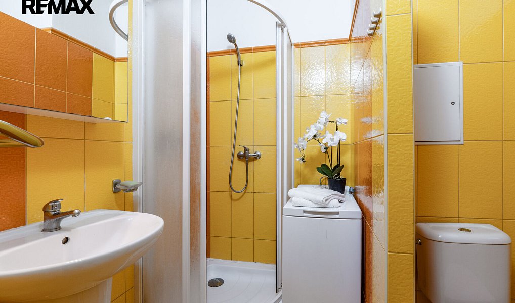 Prodej bytu 1+1 38 m², Praha – náhled fotky 13