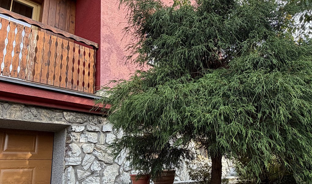 Prodej domu 250 m² s pozemkem 1 245 m², Spálov – náhled fotky 6