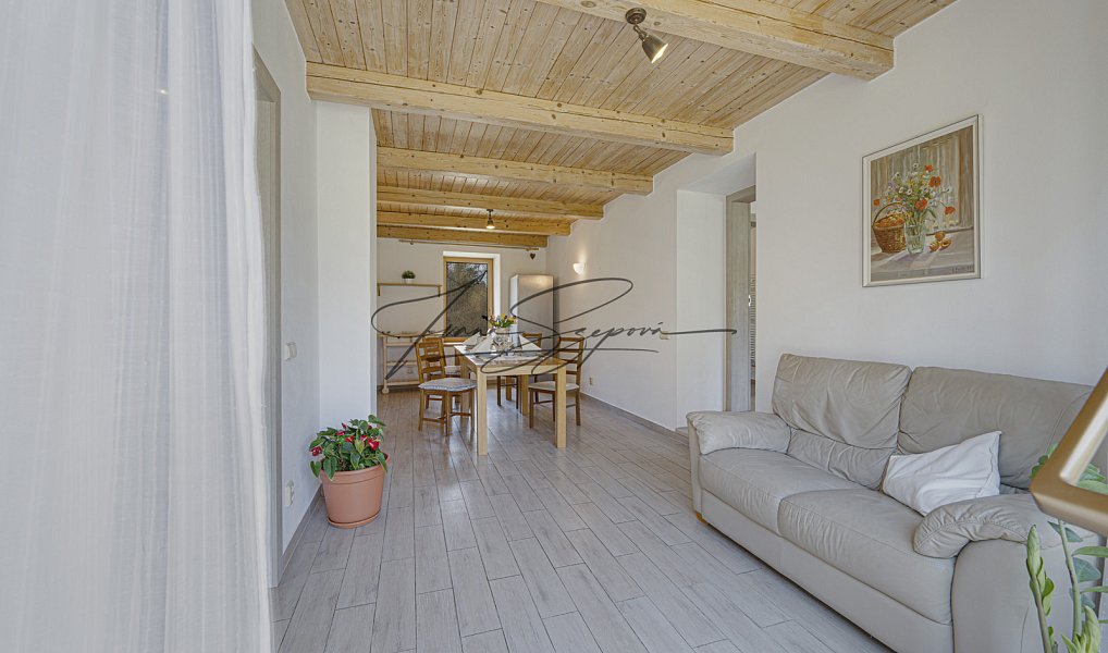 Prodej domu 594 m² s pozemkem 13 331 m², Olešná – náhled fotky 39