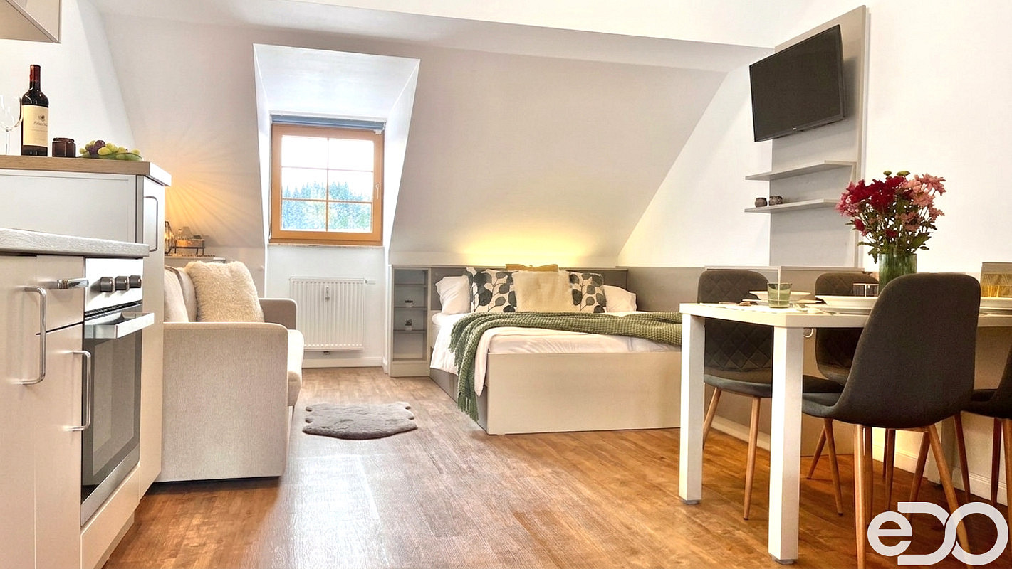 Zavedený apartmán 38 m² v Krušných horách – pohled 5